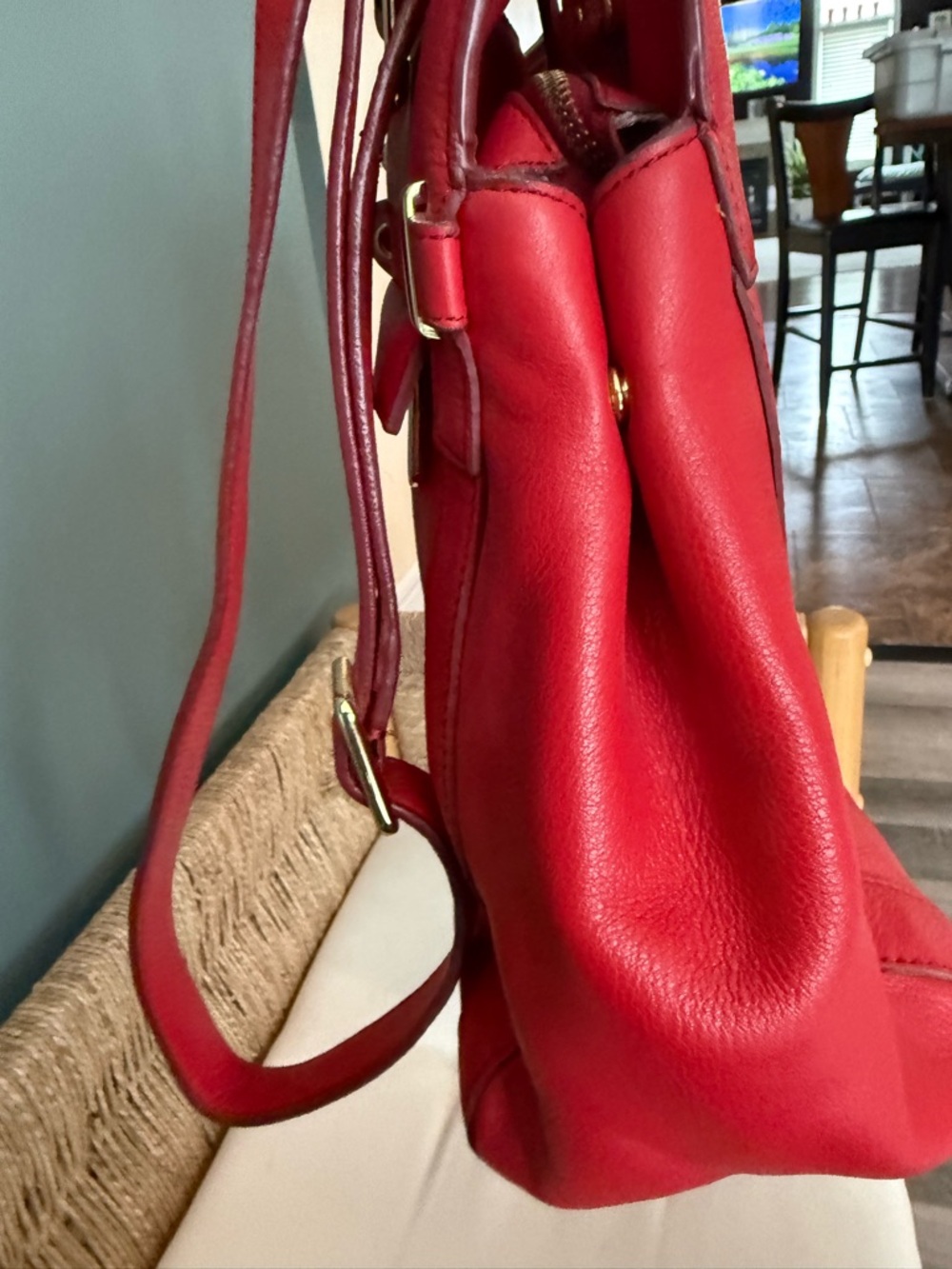 Banana Republic Red lined Leather Tote Handbag with Gold Hardware - Picture 16 of 16